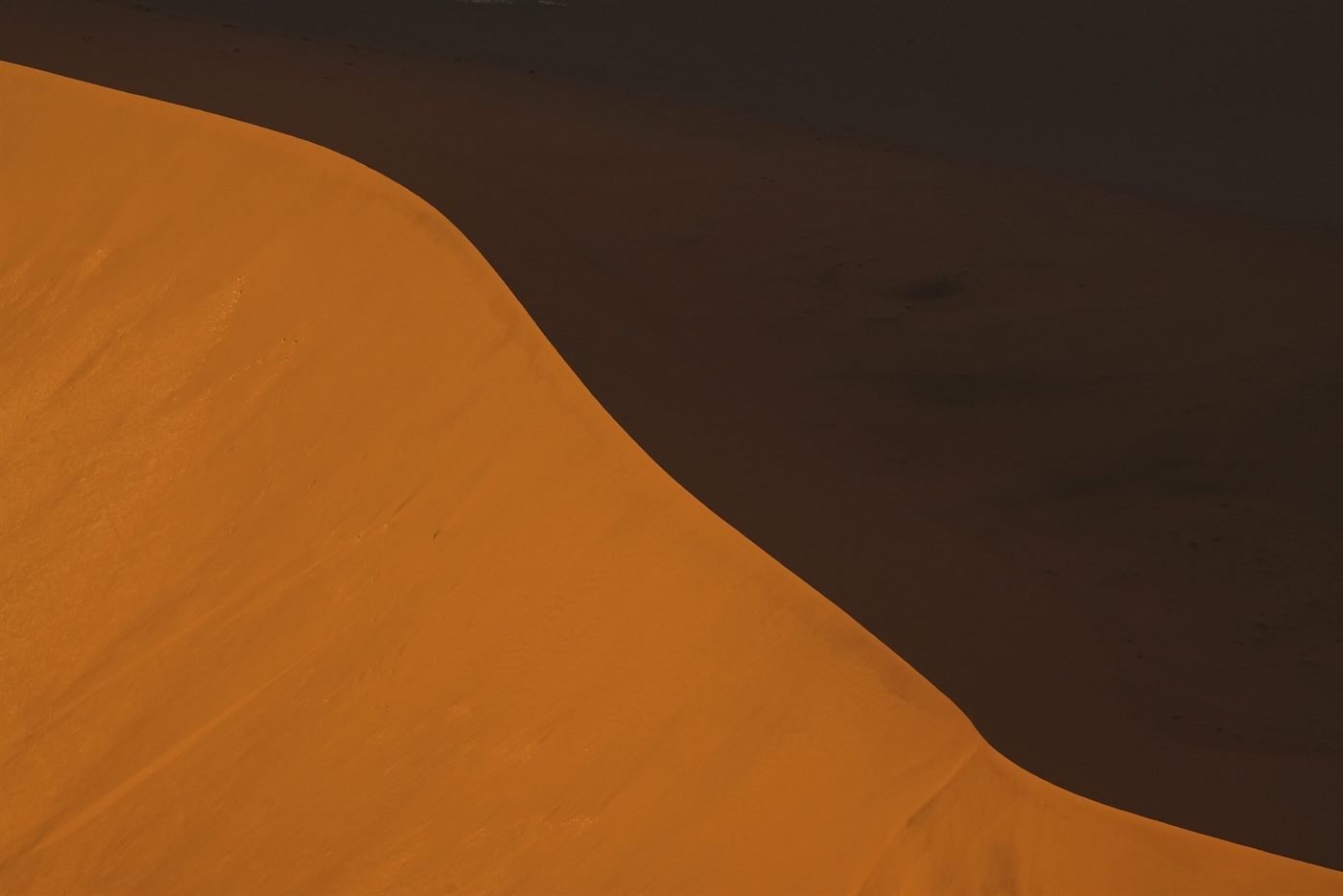 The sunlit crest of a sand dune dividing light from shadow, Namibia